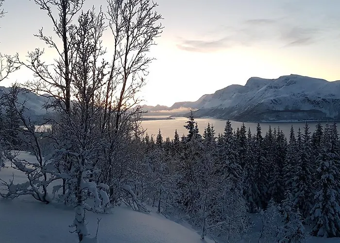 Slettvold Lyngen 펜션 Svensby