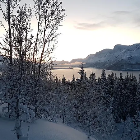 Slettvold Lyngen 펜션 Svensby